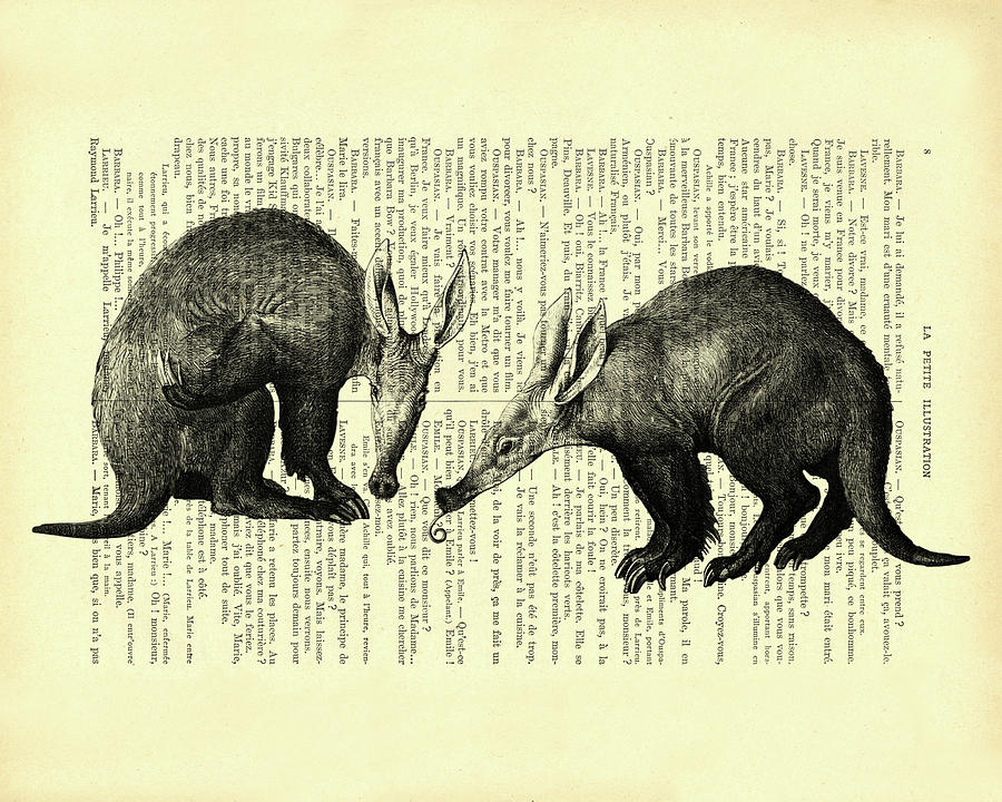 Wildlife Mixed Media - Aardvark Twins by Madame Memento