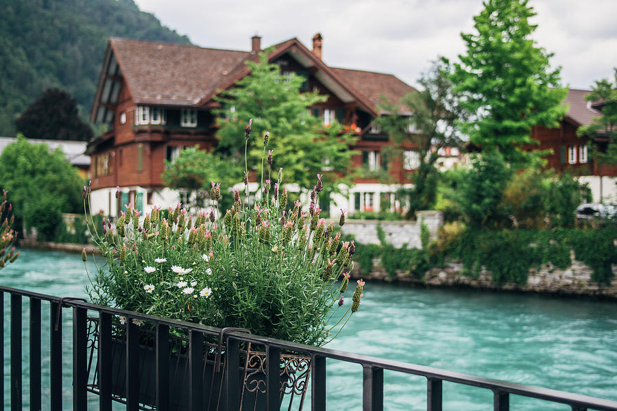 Aare River Interlaken Photograph by Pati Photography | Fine Art America