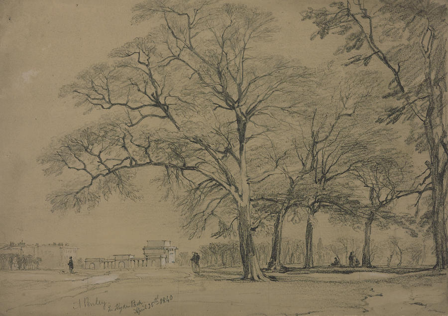 Tree Painting - Aaron Edwin Penley - Hyde Park Corner by Aaron Edwin Penley