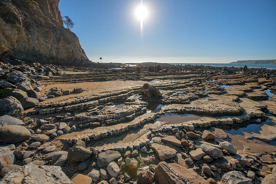 Abalone Cove Dry Reef Photograph by Craig Brewer