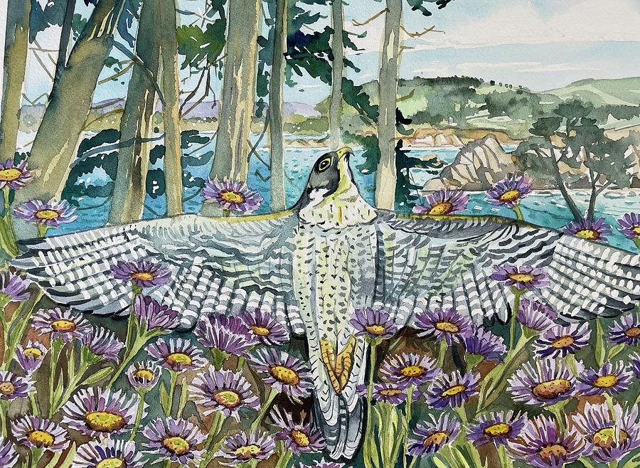 Abalone Cove Peregrine Painting