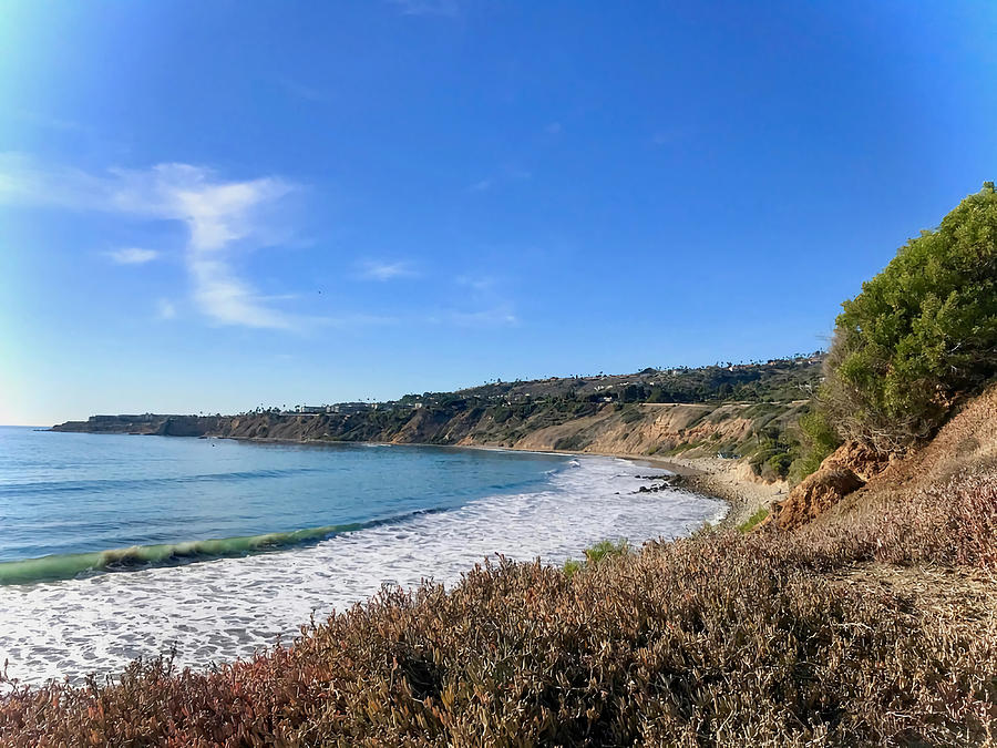 Abalone Cove Poster Painting by Sabrina Campbell | Fine Art America