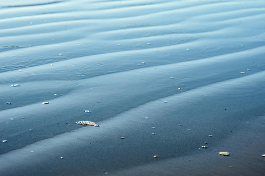 Abalone Cove Ripples And Bubbles Photograph by Craig Brewer - Fine Art ...