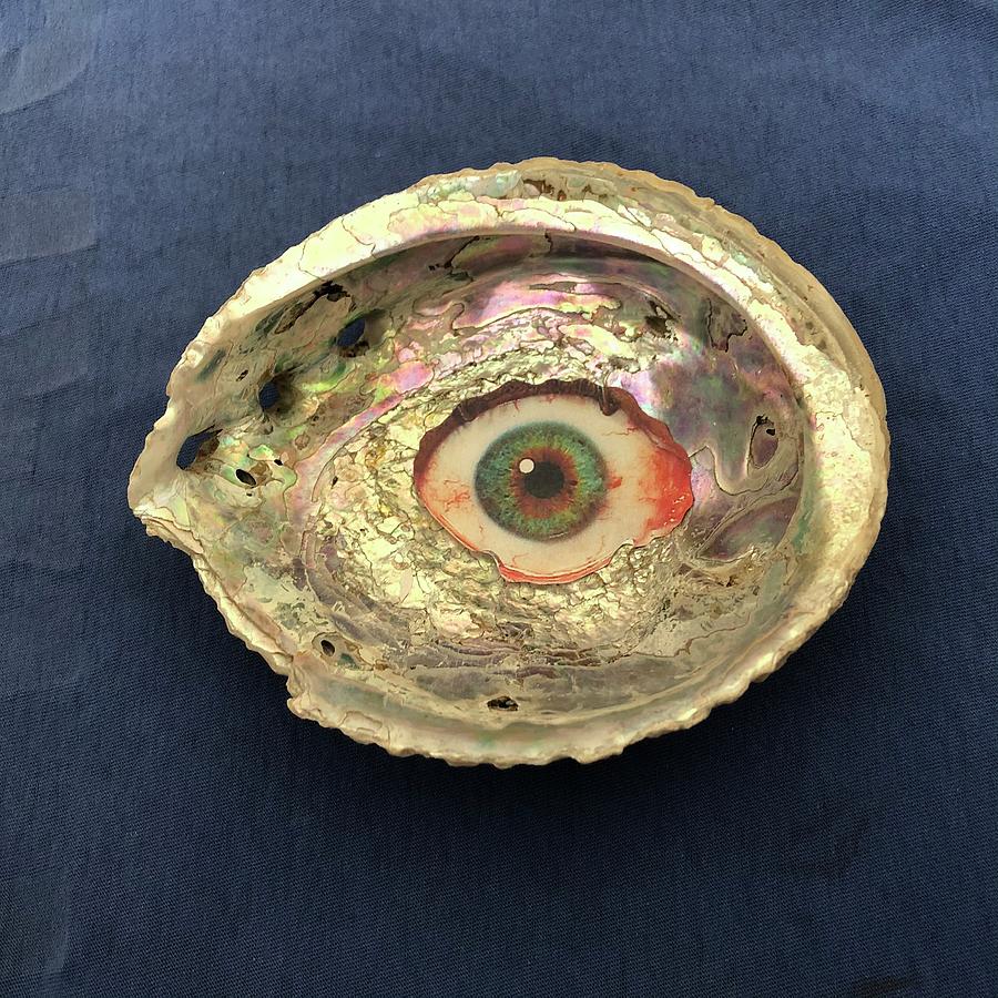 Abalone Eye Mixed Media by Douglas Fromm