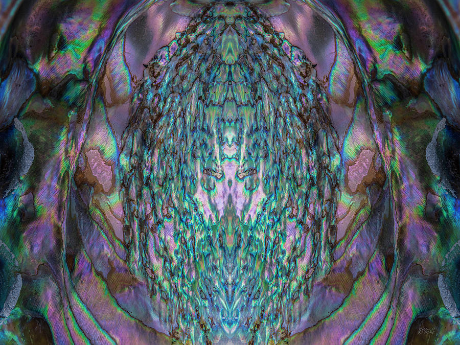 Abalone Shell Abstract Color Photograph by David Gordon