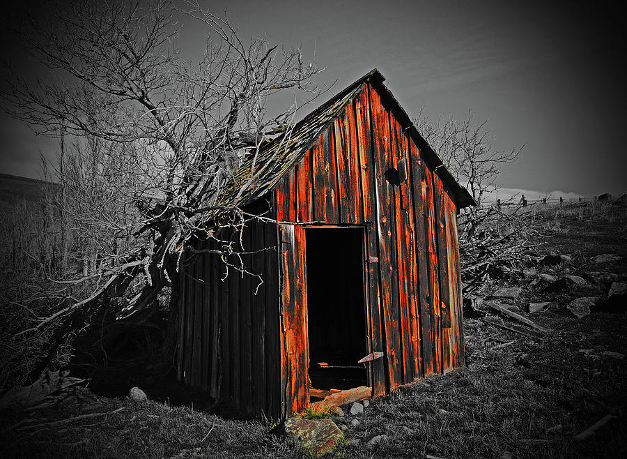 Abanden Out Buildig, On Dalles,MT  Digital Art by Fred Loring