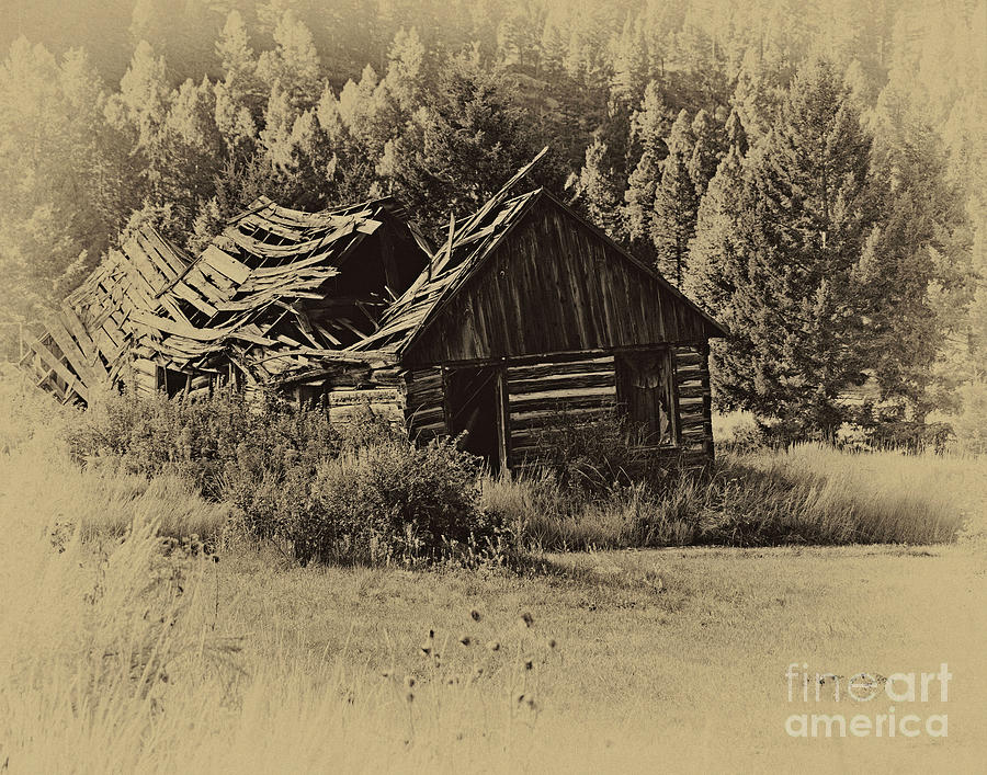 Abandon Cabin Photograph by Steve Brown