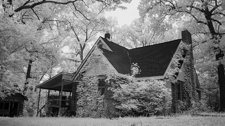 Abandon Home in Natchez Trace State Park Photograph by Amy Curtis