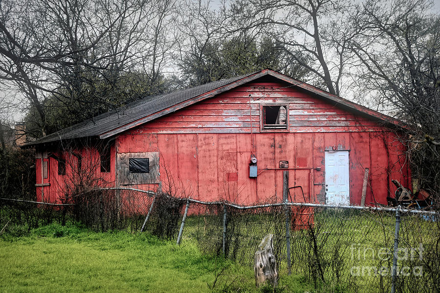 Abandon Horse Barn Photograph by Diana Mary Sharpton