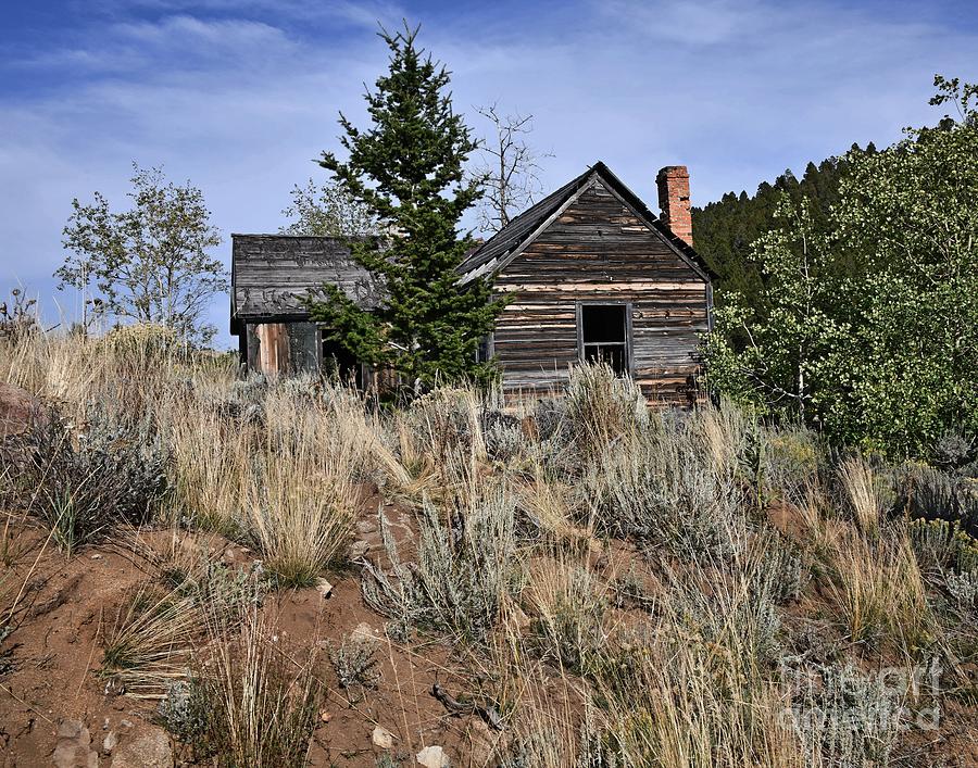 Abandon House at the Comet Ghost Town Photograph by Steve Brown