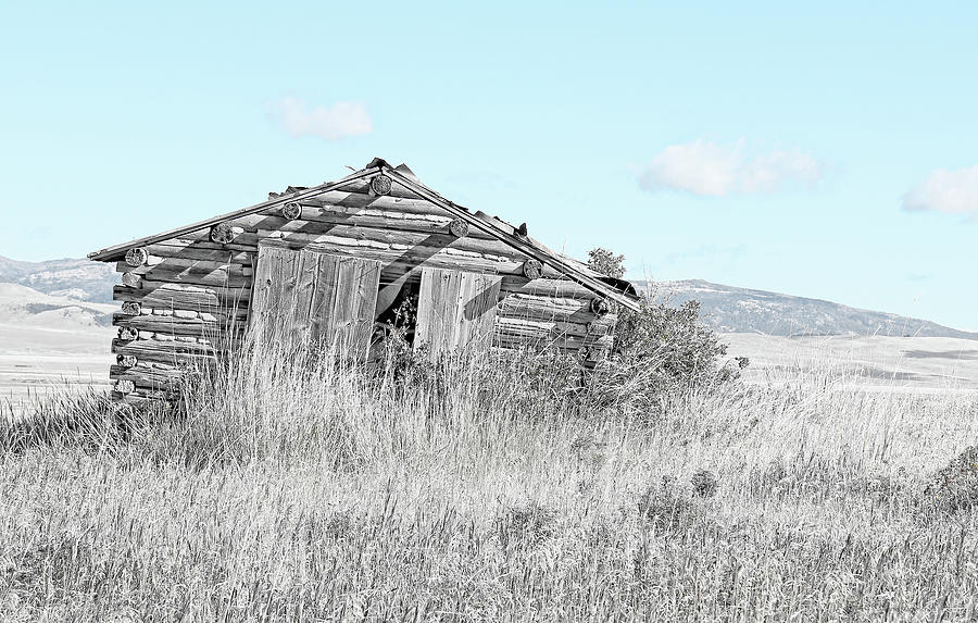 Abandon Rustic Cabin Monochrome Photograph by Jennie Marie Schell