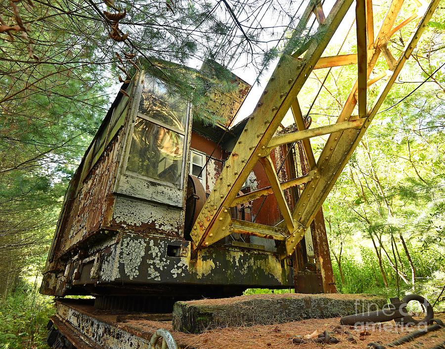 Abandon Trains in the Woods Photograph by Steve Brown