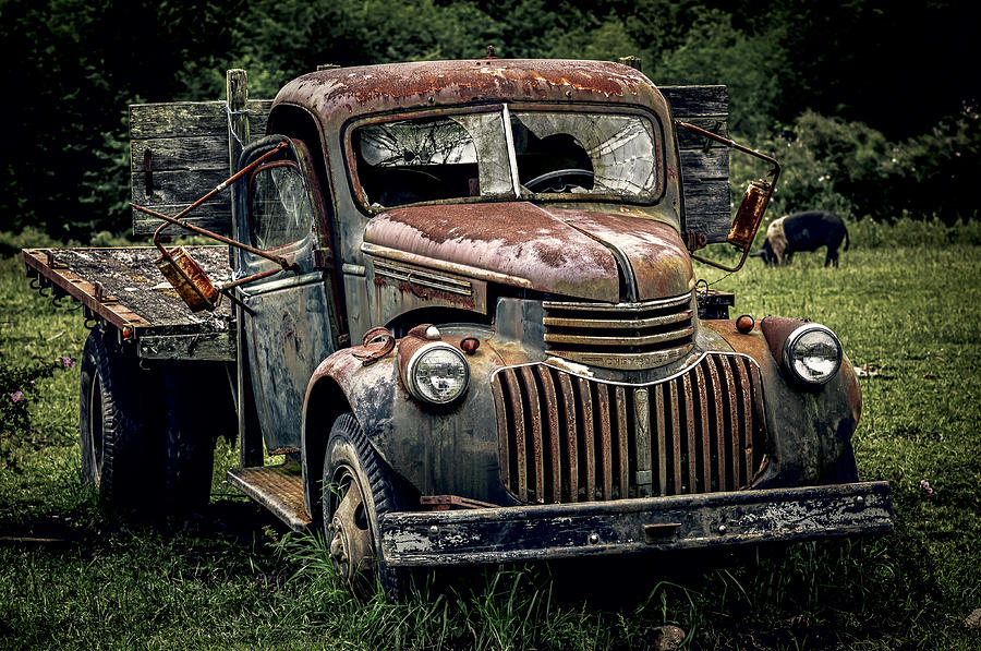 Abandonded Truck (with Pig) Photograph by ElementalImaging Abandonded Truck (with Pig) Photograph by ElementalImaging