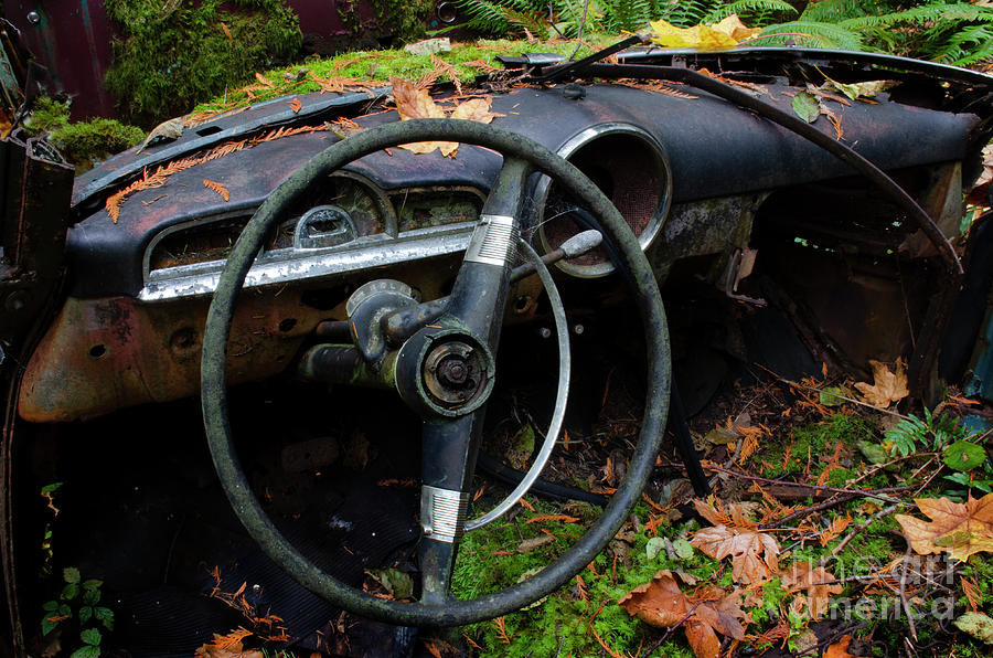 Abandoned Car Series 11 Photograph by Bob Christopher