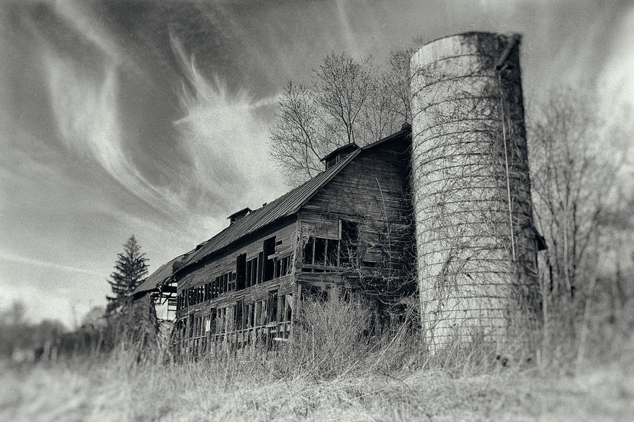 Abandoned Photograph by Amber Kresge