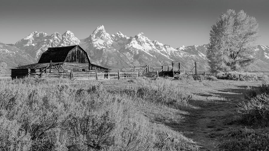 Abandoned Barn Photograph by David Lee