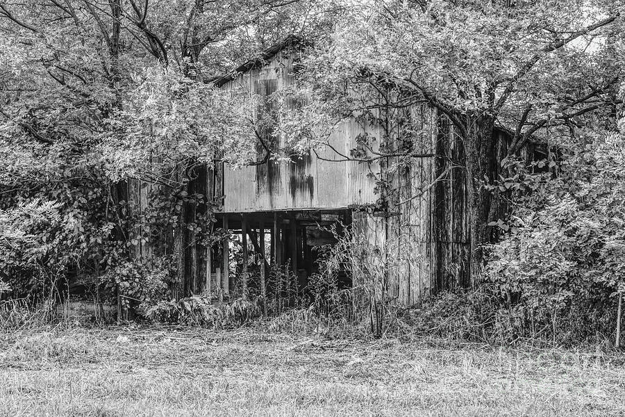 Abandoned Barn Grayscale Photograph by Jennifer White