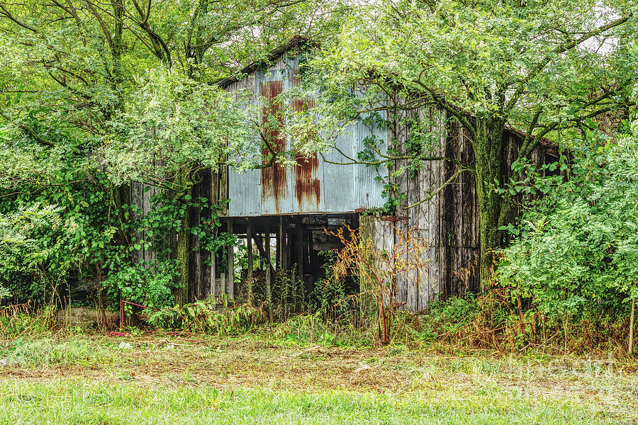 Abandoned Barn Photograph by Jennifer White