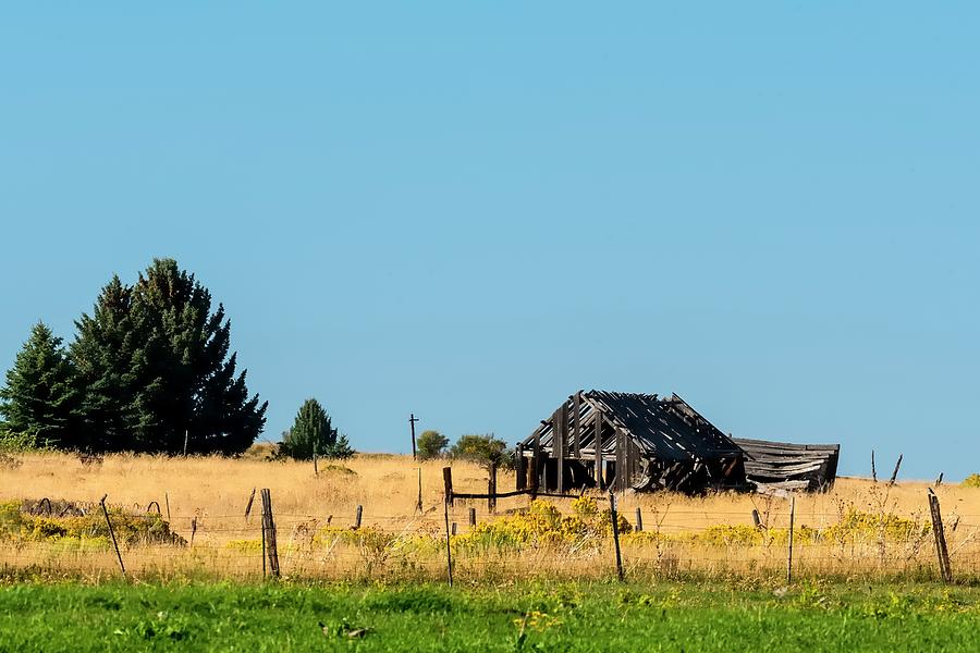 Abandoned Barn Photograph by Jerry Sodorff
