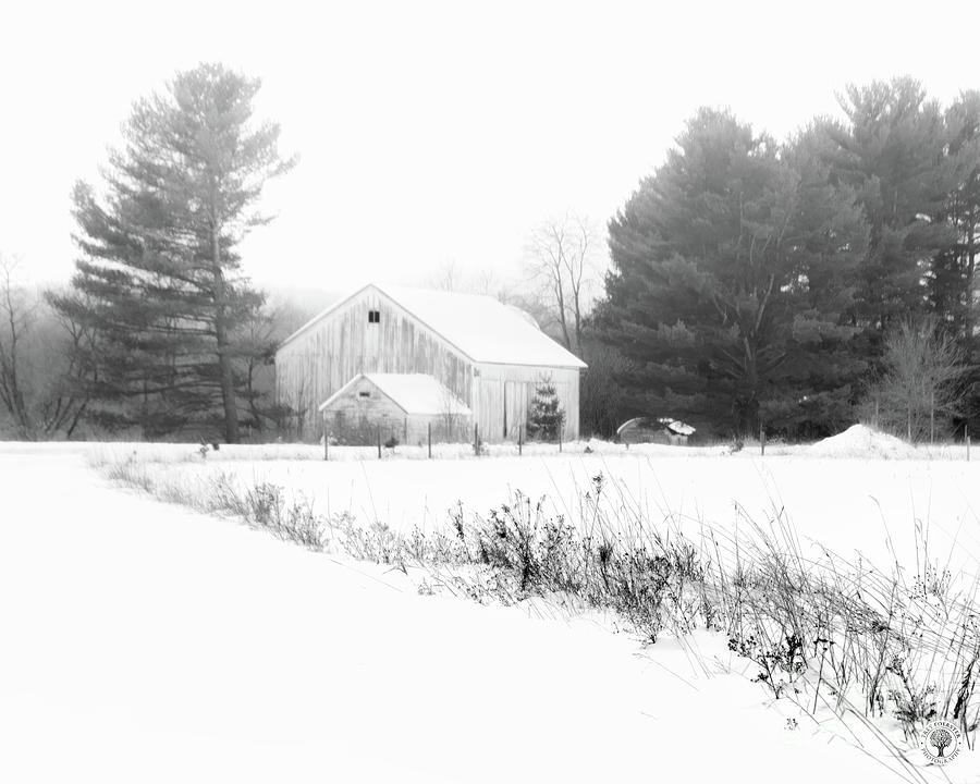 Winter Photograph - Abandoned Barn Winter Fog by Trey Foerster