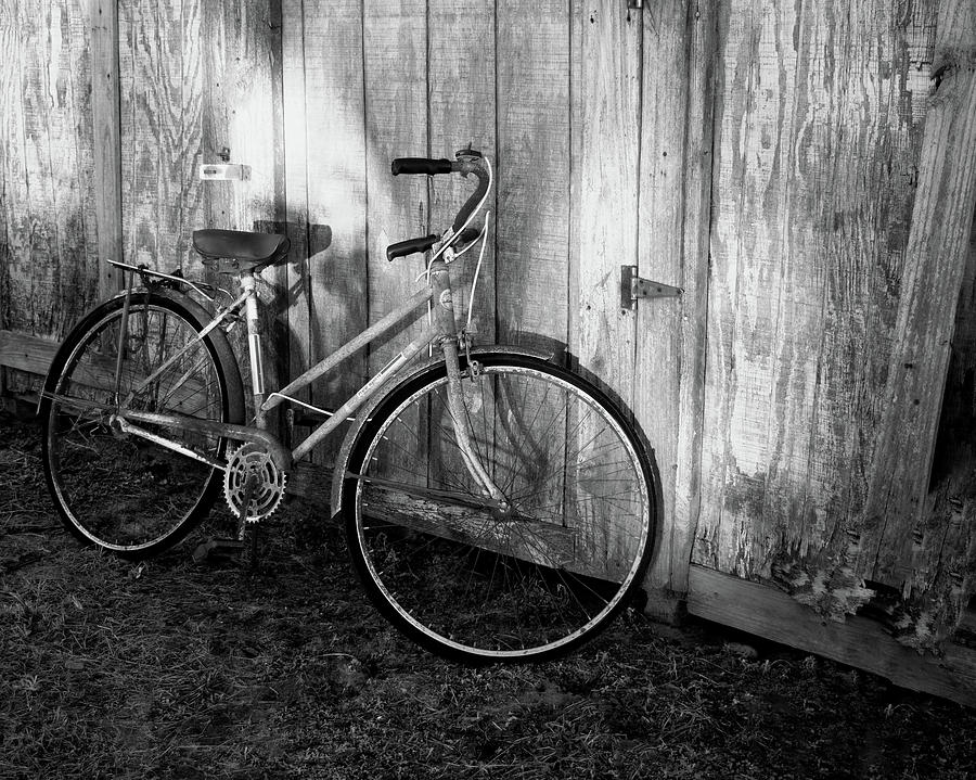 Abandoned Bike Photograph by Karen Harrison Brown