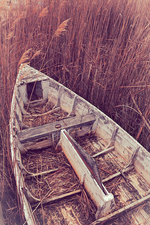 Abandoned Boat Photograph