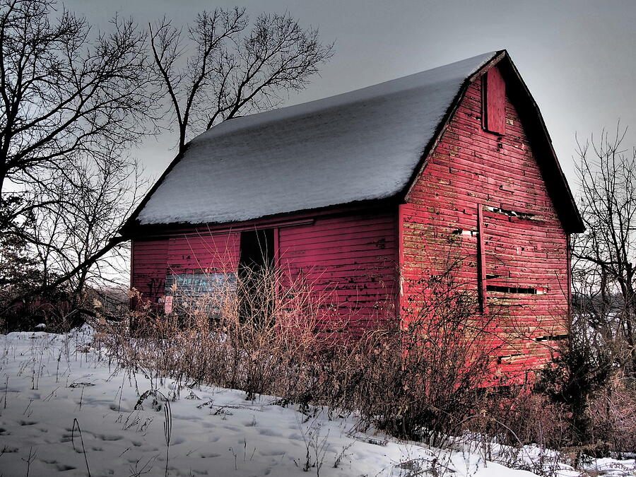 Abandoned but still Standin' Photograph by Tom Halseth - Fine Art America