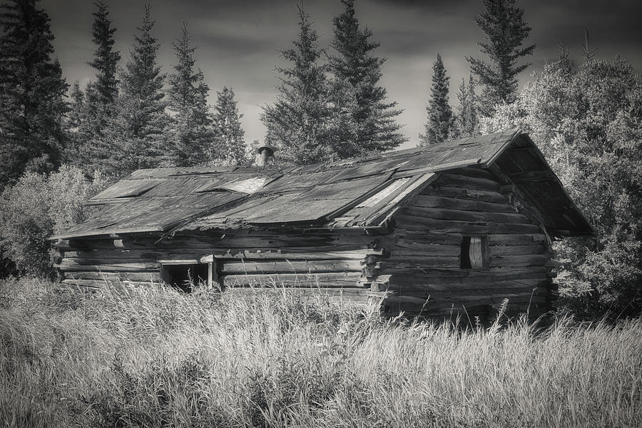 Abandoned Cabin - Copper Center Alaska Monochrome Photograph by Cathy Mahnke