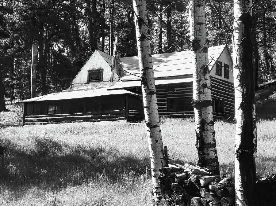 Abandoned Cabin in Black and White  Photograph by Cathy Anderson