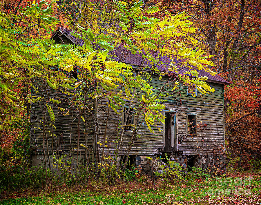 Abandoned Cabin in Fall Photograph by Nick Zelinsky Jr - Fine Art America