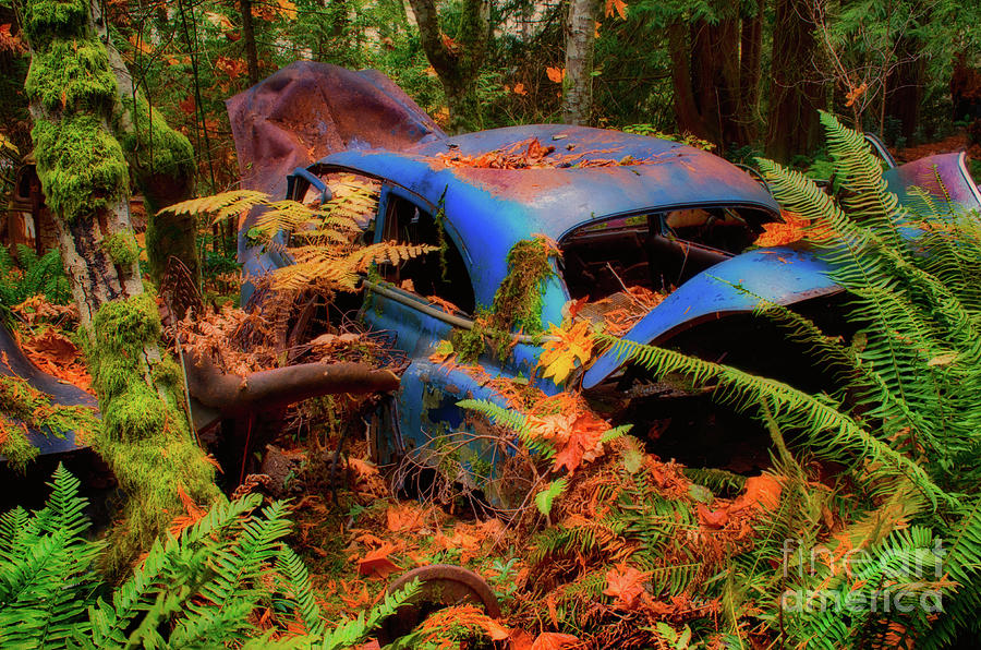 Abandoned Car Series 16 Photograph by Bob Christopher