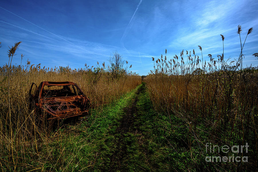 Abandoned Car Photograph by Stef Ko