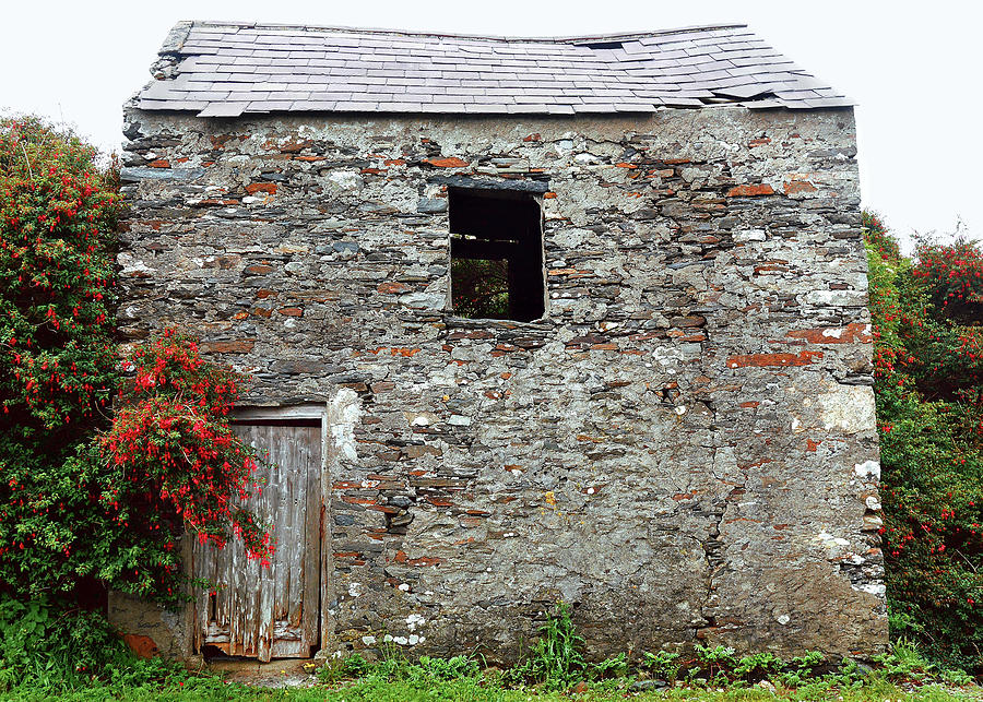 Abandoned - Country Donegal Photograph by Lexa Harpell