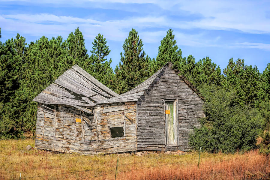Abandoned Decay Photograph by Donna Kennedy