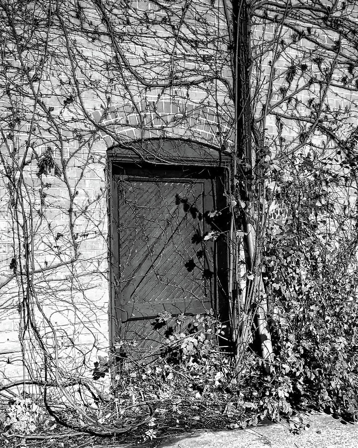Abandoned Door Photograph by Scott Olsen