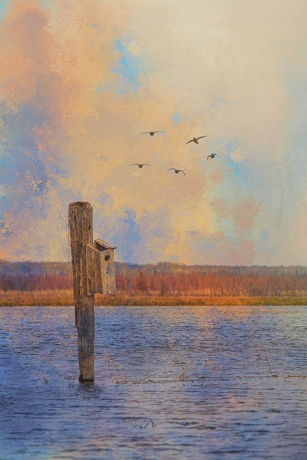 Abandoned Duck House on the River - Painterly Vertical Photograph by Patti Deters
