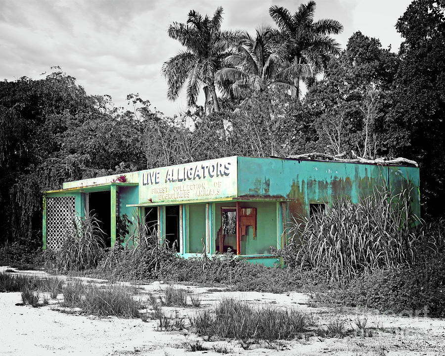 Abandoned Everglades Gatorland - Select Photograph by Chris Andruskiewicz