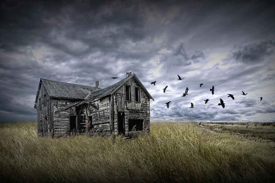Abandoned Farm House with a Flock of Black Crows under a Stormy  Photograph by Randall Nyhof
