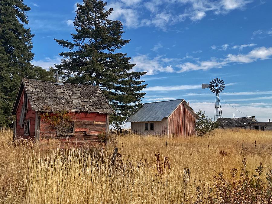 Abandoned Farm Outbuildings  Photograph by Jerry Abbott