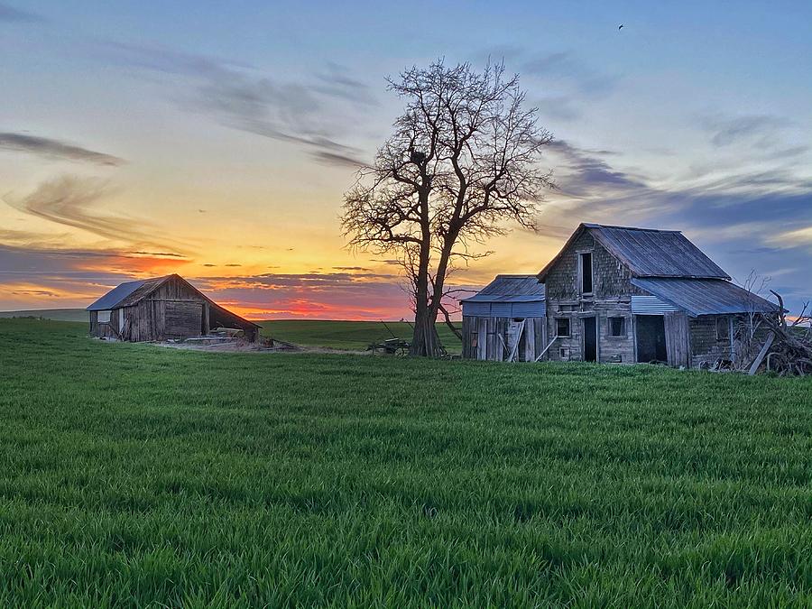 Abandoned Farmhouse at Sunset Photograph by Jerry Abbott