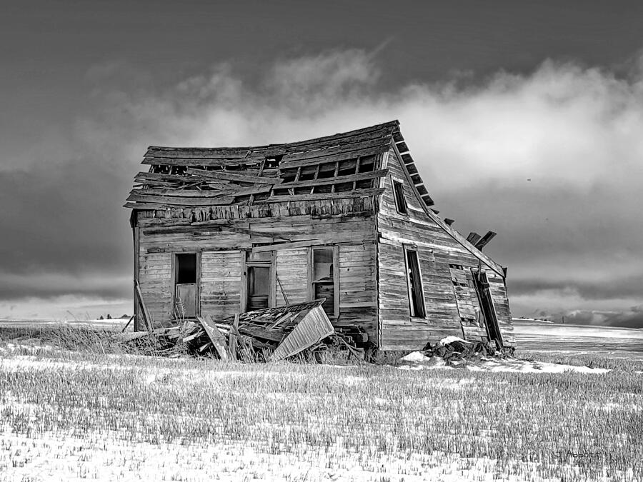 Abandoned Farmhouse- Mondovi #4 bw Photograph by Jerry Abbott
