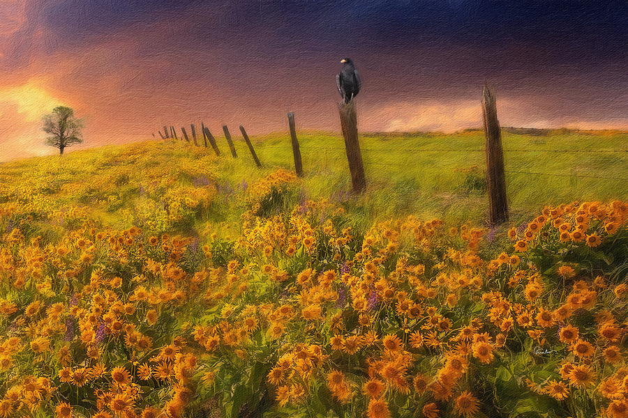 Abandoned Field of Sunflowers Digital Art by Russ Harris