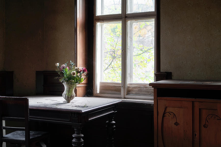 Abandoned Flowers in the Light Photograph by Roman Robroek
