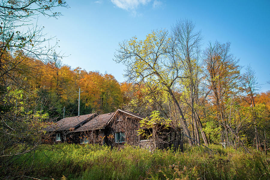 Abandoned Home In The Autumn Woods Photograph