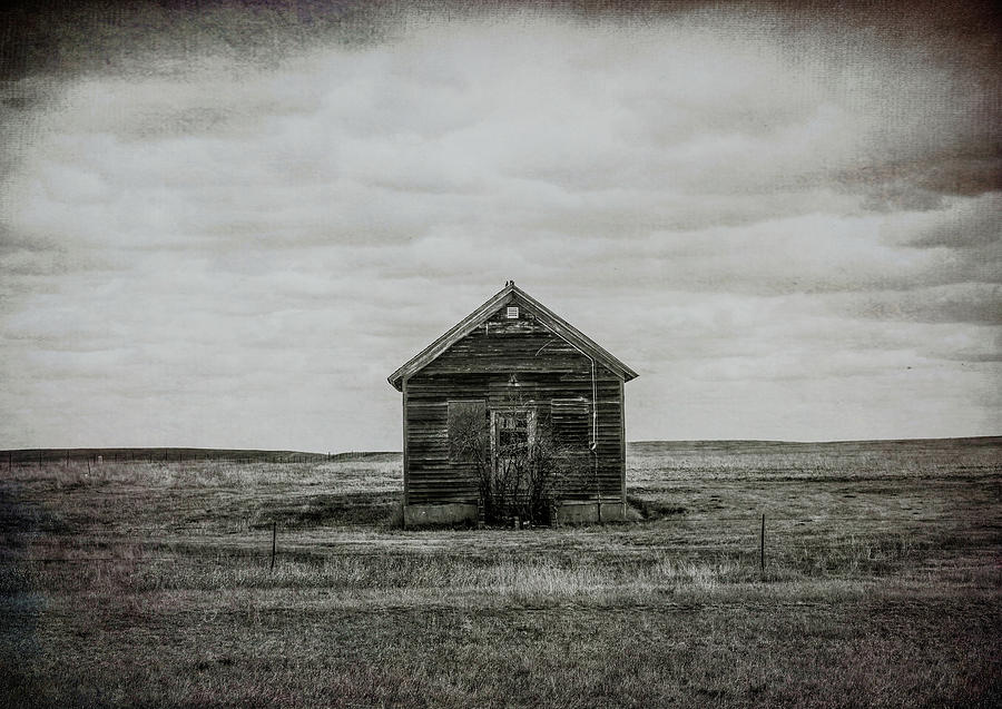 Abandoned Homestead Photograph by Dan Sproul
