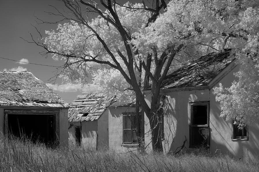 Abandoned Homestead Ir 0317 Photograph