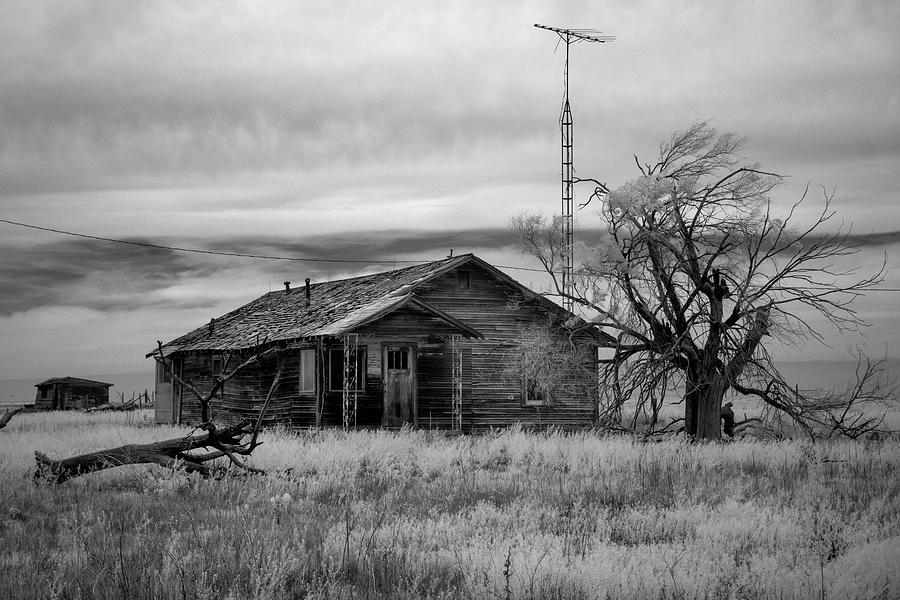 Abandoned Homestead Ir 0350 Photograph