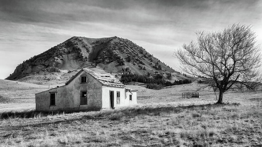 Abandoned House at Bear Butte Photograph by Susan Rissi Tregoning