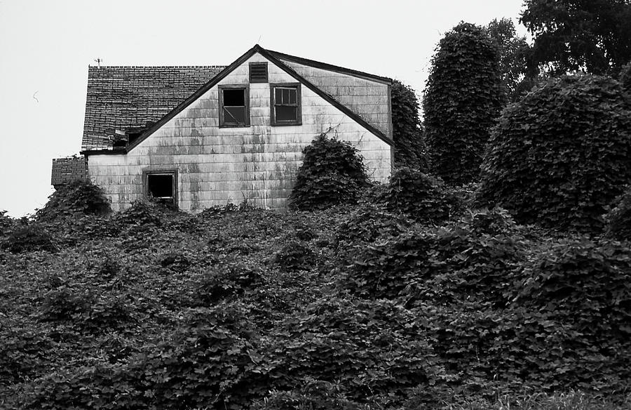 Abandoned House Covered by Kudzu 003 Photograph by James C Richardson
