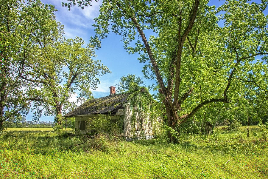 Abandoned House in Columbus County North Carolina Photograph by Bob Decker